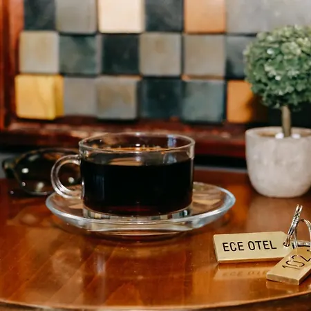 Hotel Ece